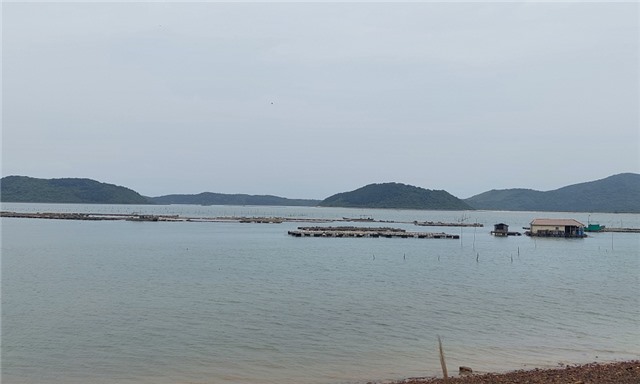 Sớm ban hành Nghị định quy định hoạt động lấn biển làm cơ sở hành lang pháp lý để quản lý phục vụ quá trình phát triển KT-XH