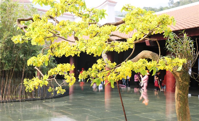 Uông Bí trong tâm thế phát triển của Quảng Ninh