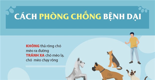 Tăng cường các biện pháp phòng, chống bệnh dại