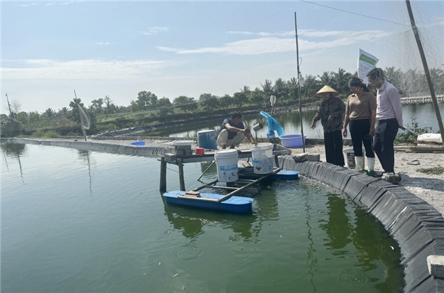 Nghị quyết số 11/NQ-CP: Trợ lực mạnh mẽ để phục hồi và phát triển kinh tế