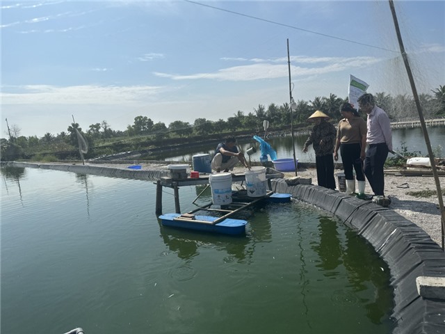 Bổ sung 250 tỷ đồng chương trình cho vay hỗ trợ tạo việc làm