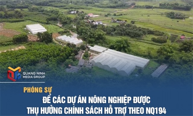 Để các dự án nông nghiệp được thụ hưởng chính sách hỗ trợ theo NQ194