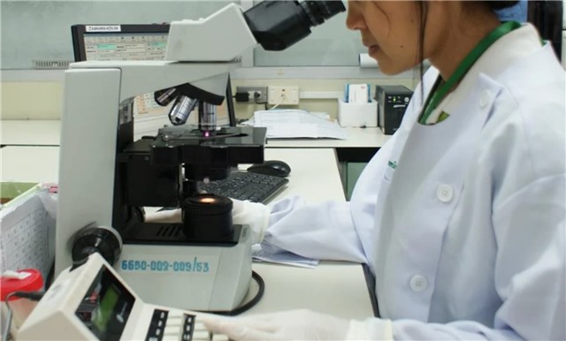 WHO họp khẩn tìm vaccine cho virus cực nguy hiểm vừa bùng phát