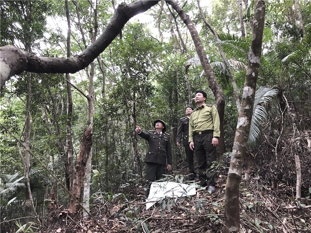 Hạt kiểm lâm Uông Bí  phối hợp làm tốt công tác tuần tra bảo vệ rừng tự nhiên