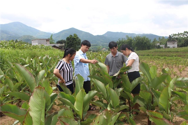 Quản lý dịch hại tổng hợp trên cây trồng