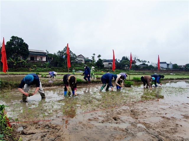 Hỗ trợ đóng BHXH tự nguyện