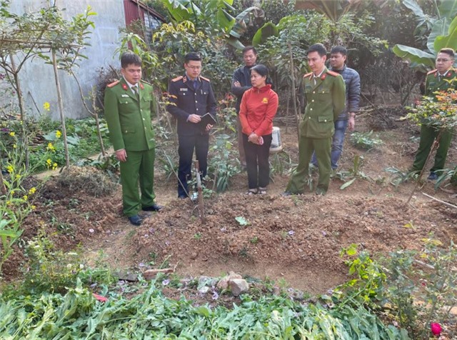 Canh tác cây thuốc phiện để… “chữa bệnh”