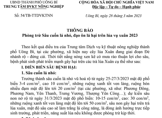 Thông báo phòng trừ sâu cuốn lá nhỏ, đạo ôn lá hại trên lúa vụ xuân 2023