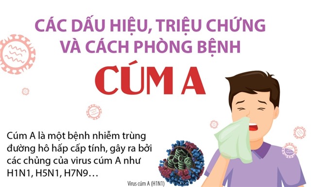 Các dấu hiệu, triệu chứng và cách phòng bệnh cúm A