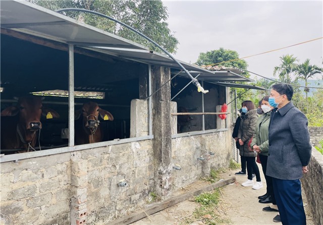 TP Uông Bí: Tăng cường công tác phòng chống dịch bệnh gia súc, gia cầm