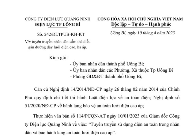 Cấm thả diều gần đường dây lưới điện cao, hạ áp