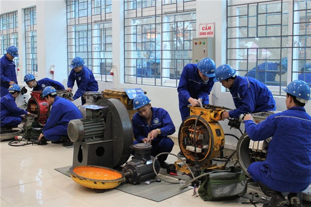 Đẩy mạnh kết nối, tạo cơ hội việc làm cho người lao động