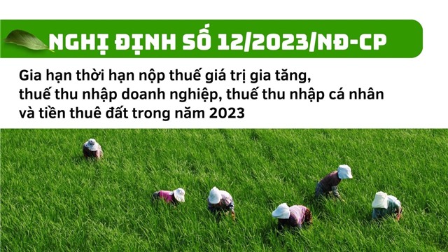 (Nghị định số 12/2023/NĐ-CP) Gia hạn thời hạn nộp thuế giá trị gia tăng, thuế thu nhập doanh nghiệp, thuế thu nhập cá nhân và tiền thuê đất trong năm 2023