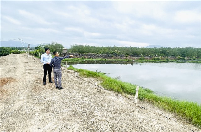 PCT UBND thành phố Nguyễn Đức Hoà khảo sát thực tế các công trình đê điều, tiêu thoát lũ