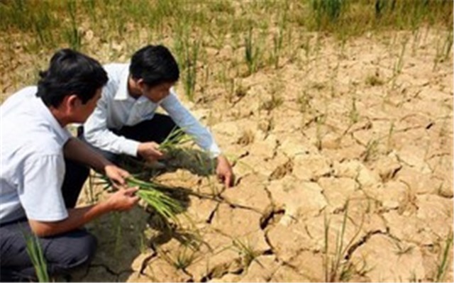 Công điện của Thủ tướng Chính phủ về chủ động triển khai các biện pháp cấp bách ứng phó với nguy cơ nắng nóng, hạn hán, thiếu nước, xâm nhập mặn