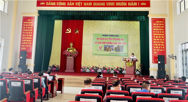 Xúc tiến thương mại quả Vải chín sớm Phương Nam năm 2023