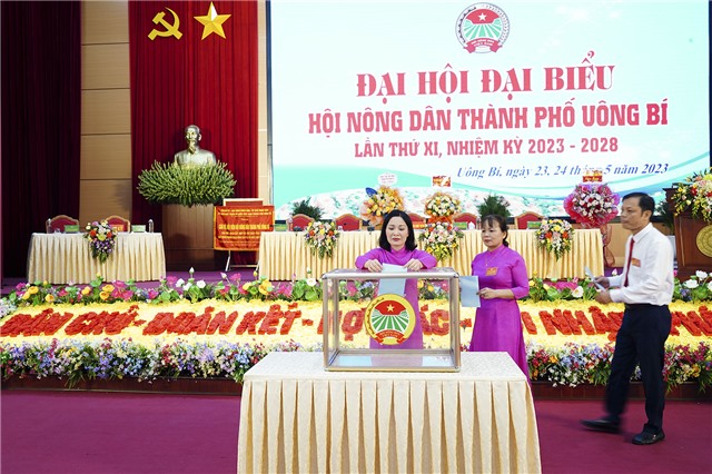 Ngày làm việc thứ nhất Đại hội đại biểu Hội Nông dân thành phố lần thứ XI, nhiệm kỳ 2023-2028