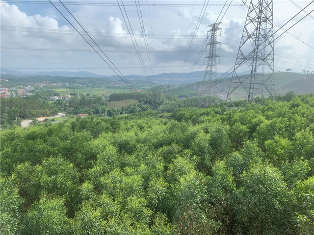 Đảm bảo an toàn lưới điện truyền tải quốc gia trong mùa nắng nóng