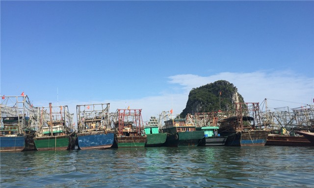 Từ 15 giờ ngày 17/7, tạm ngừng cấp phép cho phương tiện thủy ra khơi từ 15h ngày 17/7