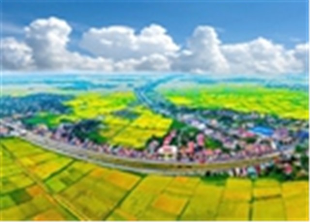 Điều chỉnh, bổ sung thành viên của Hội đồng điều phối vùng