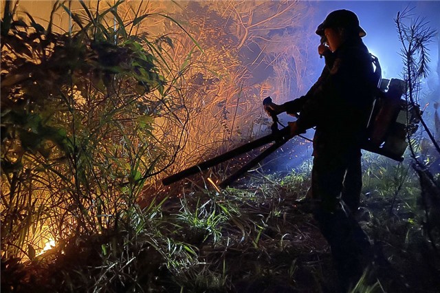 Tăng cường các biện pháp cấp bách phòng cháy, chữa cháy rừng trên địa bàn thành phố Uông Bí