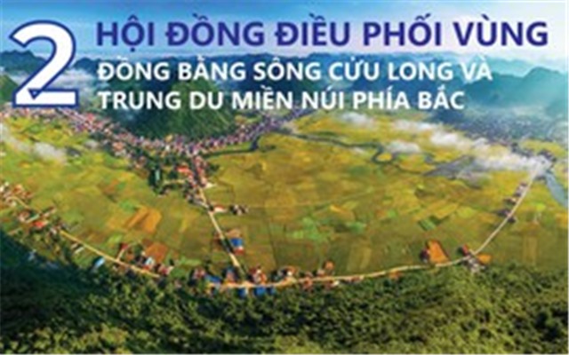 Infographics: 2 Hội đồng điều phối vùng