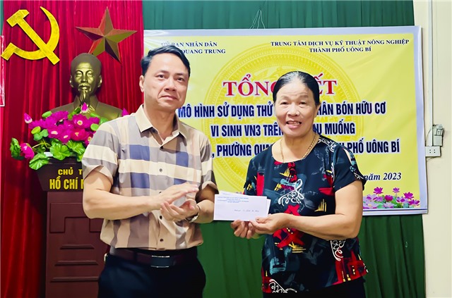 Tổng kết mô hình sử dụng thử nghiệm phân bón hữu cơ vi sinh VN3 trên cây rau muống tại khu 11, phường Quang Trung