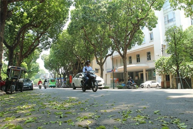 Ngày 20/9, cả nước ngày nắng, chiều tối và đêm có mưa dông