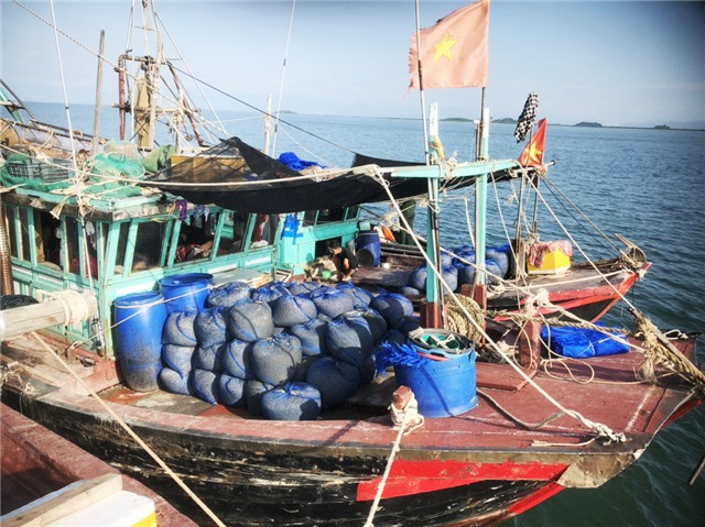 Chống khai thác hải sản bất hợp pháp, quyết tâm gỡ thẻ vàng