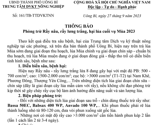 Thông báo phòng trừ Rầy nâu, rầy lưng trắng hại lúa cuối vụ Mùa 2023