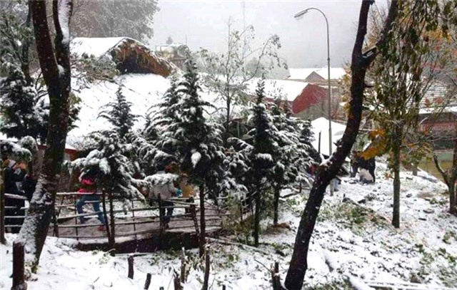 Ngày 22/1, Bắc Bộ rét hại, vùng núi cao có nơi dưới 0 độ C