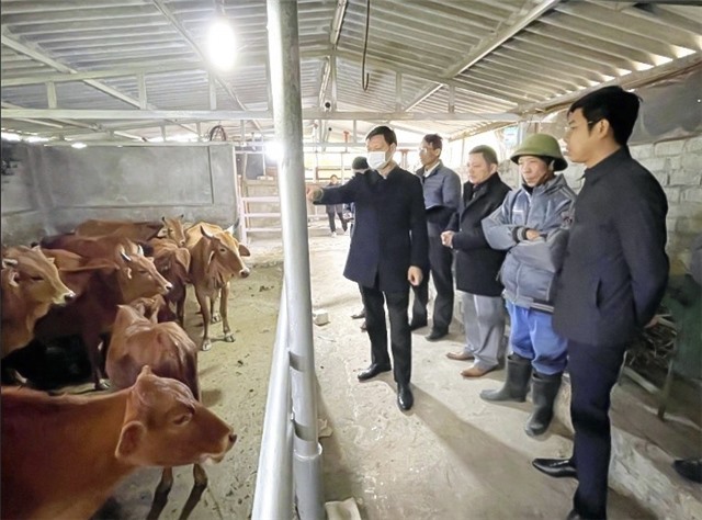 Đoàn kiểm tra Sở NN&PT Nông thôn kiểm tra, đôn đốc công tác phòng chống rét đậm rét hại trên cây trồng vật nuôi