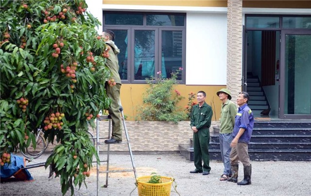 CCB Uông Bí: Gương mẫu trong các phong trào thi đua