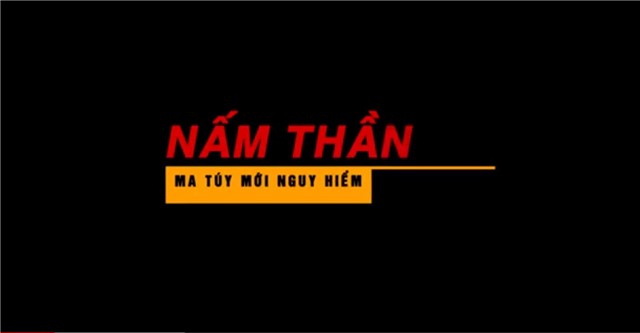 Nấm thần - ma túy mới nguy hiểm