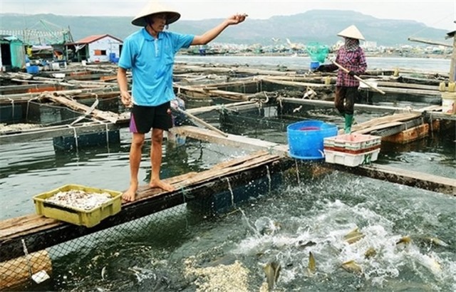 Quảng Ninh đẩy mạnh các giải pháp phục hồi kinh tế