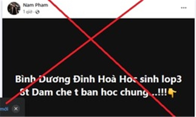 Xử phạt người lan truyền tin giả 'học sinh lớp 3 đâm chết bạn' ở Bình Dương