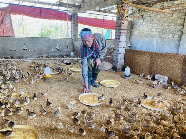 Tái đàn vật nuôi đảm bảo an toàn dịch bệnh