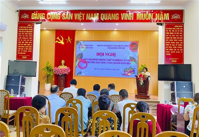 Tổng kết mô hình trồng thử nghiệm cây Mắc ca tại phường Bắc Sơn, Vàng Danh 