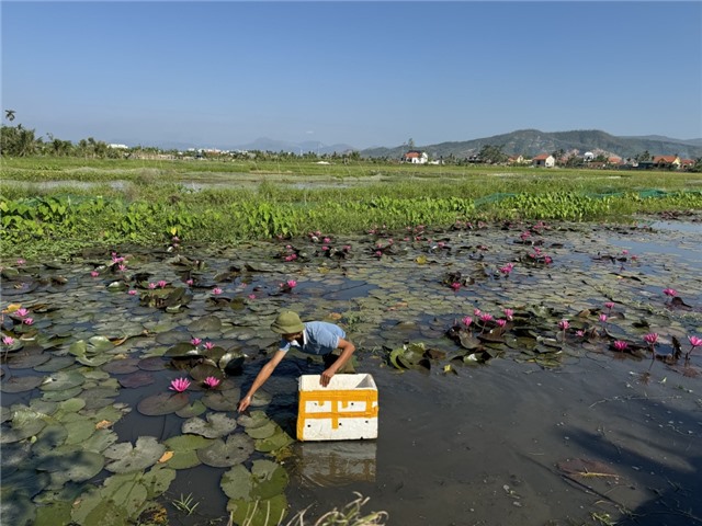 Đồng hành cùng hội viên nông dân phát triển kinh tế