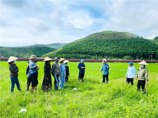 Phòng chống dịch hại vụ mùa 2024 và bảo vệ cây trồng vụ Đông Xuân 2024-2025