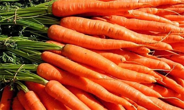 Mỹ: Một người tử vong, 39 người mắc bệnh do nhiễm khuẩn E.coli liên quan đến cà rốt