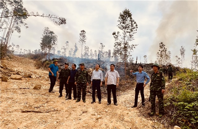 Lãnh đạo thành phố kiểm tra hiện trạng cháy thực bì và cây gãy đổ tại phường Bắc Sơn