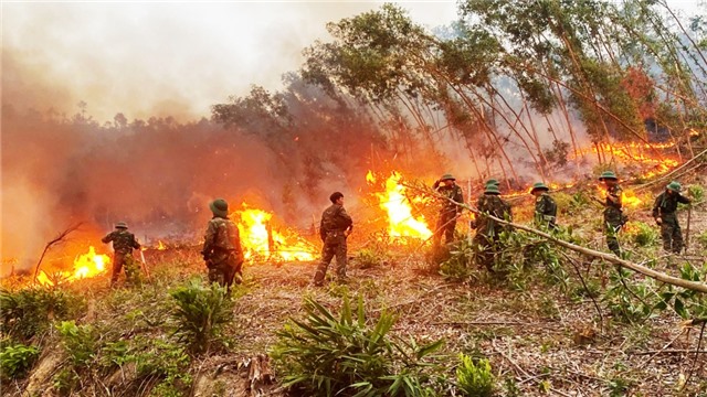 Màu áo xanh trên tuyến đầu