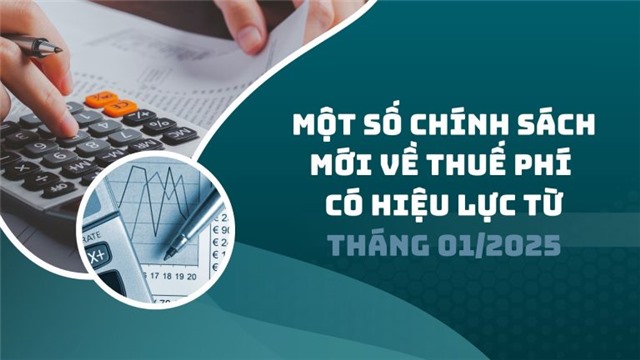 Một số chính sách mới về thuế phí có hiệu lực từ tháng 01/2025