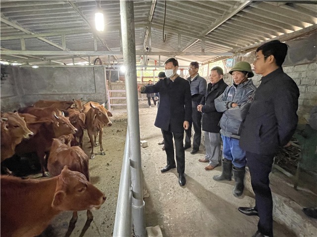 Tăng cường triển khai các biện pháp chống rét trên địa bàn thành phố 