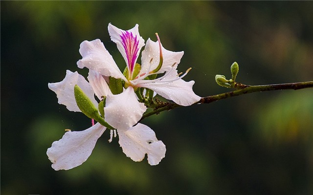 Thủ tướng kêu gọi cả nước hướng về Điện Biên Anh hùng