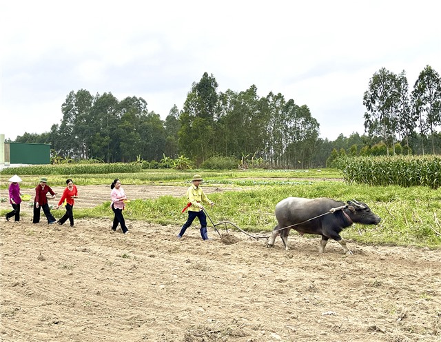 Khu Chạp Khê, phường Nam Khê tổ chức Lễ hội truyền thống mùng 10 tháng Giêng