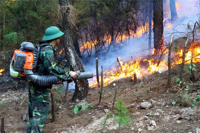 Tăng cường các biện pháp về phòng cháy, chữa cháy rừng trước, trong và sau Tết Nguyên đán Giáp Thìn 2024