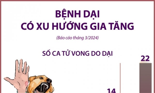 Bệnh dại có xu hướng gia tăng trên cả nước