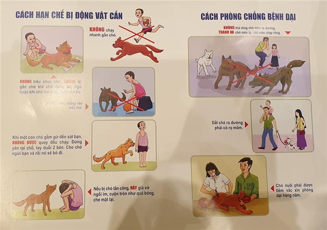 Thực hiện nghiêm túc, quyết liệt và đồng bộ các giải pháp phòng chống bệnh Dại động vật 